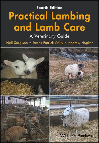 Бумажная книга «Practical Lambing and Lamb Care: A Veterinary Guide», авторов Эндрю Хопкер, Джеймс Патрик Крилли, Нил Саргисон - фото №1