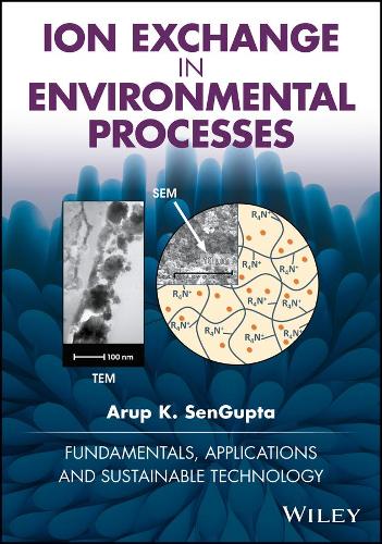 Бумажная книга «Ion Exchange in Environmental Processes: Fundamentals, Applications and Sustainable Technology», автор Аруп К. СенГупта - фото №1