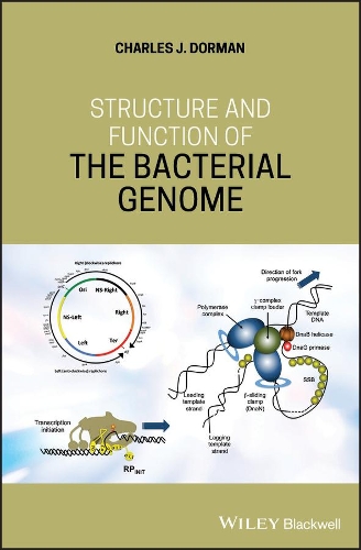 Бумажная книга «Structure and Function of the Bacterial Genome», автор Чарльз Дж. Дорман - фото №1