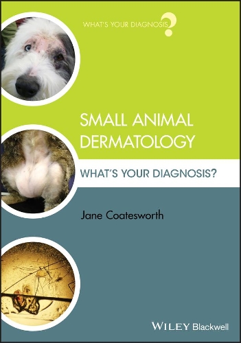 Паперова книга «Small Animal Dermatology: What's Your Diagnosis?», автор Джейн Коутсворт - фото №1