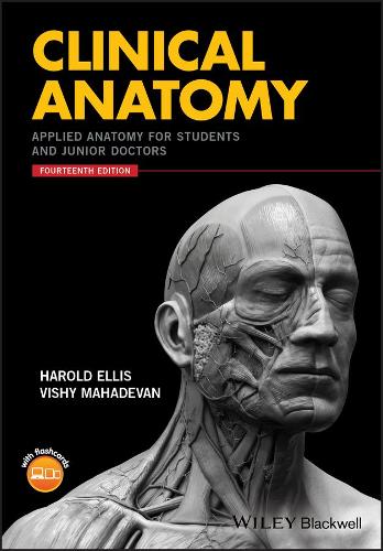 Бумажная книга «Clinical Anatomy: Applied Anatomy for Students and Junior Doctors», авторов Гарольд Эллис, Виши Махадеван - фото №1