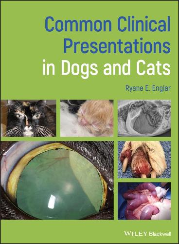 Бумажная книга «Common Clinical Presentations in Dogs and Cats», автор Райан Э. Энглар - фото №1