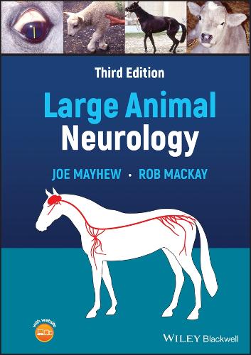 Бумажная книга «Large Animal Neurology», авторов Джо Мэйхью, Роб Маккей - фото №1