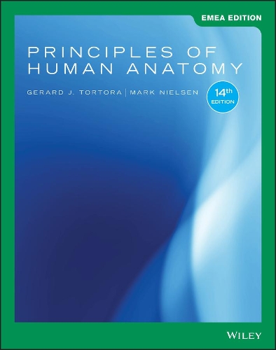 Бумажная книга «Principles of Human Anatomy», авторов Жерар Дж. Тортора, Марк Нильсен - фото №1