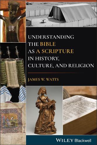 Бумажная книга «Understanding the Bible as a Scripture in History, Culture, and Religion», автор Джеймс У. Уоттс - фото №1