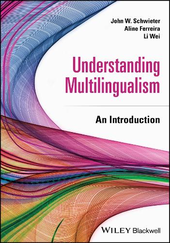 [object Object] «Understanding Multilingualism: An Introduction», автор Ли Вэй - фото №1