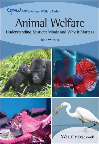 Бумажная книга «Animal Welfare: Understanding Sentient Minds and Why It Matters», автор Джон Уэбстер - фото №1