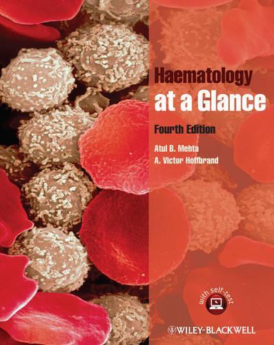 Бумажная книга «Haematology at a Glance», авторов Атул Б. Мехта, Виктор Хоффбранд - фото №1