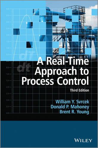 Паперова книга «A Real-Time Approach to Process Control», авторів Брент Р. Янг, Дональд П. Махоуні, Вільям Ю. Сврчек - фото №1