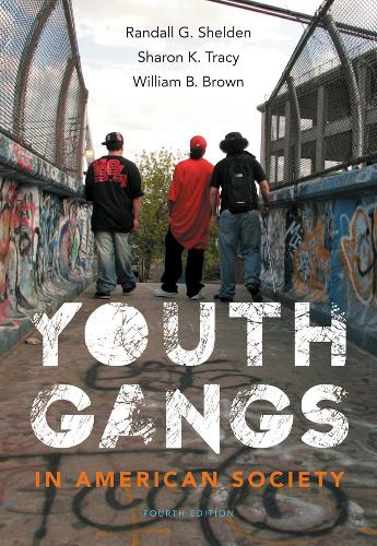 Бумажная книга «Youth Gangs in American Society», автор Уильям Браун - фото №1