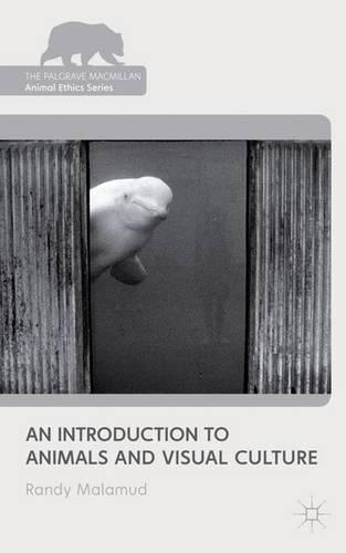 Бумажная книга «An Introduction to Animals and Visual Culture», автор Р. Маламуд - фото №1