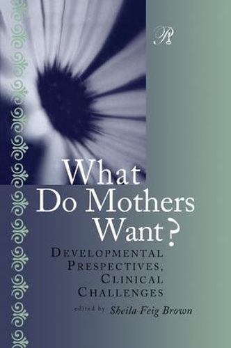 Бумажная книга «What Do Mothers Want?: Developmental Perspectives, Clinical Challenges» - фото №1