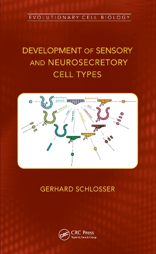 [object Object] «Development of Sensory and Neurosecretory Cell Types: Vertebrate Cranial Placodes, volume 1», автор Герхард Шлоссер - фото №1