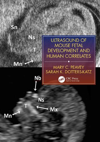 Бумажная книга «Ultrasound of Mouse Fetal Development and Human Correlates», авторов Мэри К. Пиви, Сара К. Доттерс-Катц - фото №1