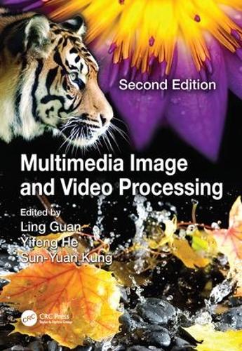 [object Object] «Multimedia Image and Video Processing» - фото №1
