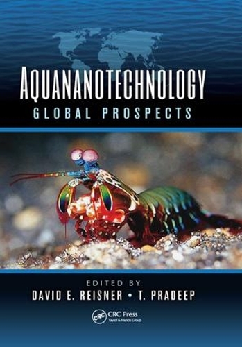 Бумажная книга «Aquananotechnology: Global Prospects» - фото №1