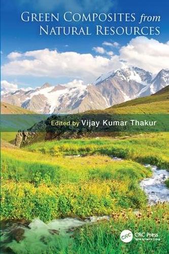 Бумажная книга «Green Composites from Natural Resources» - фото №1
