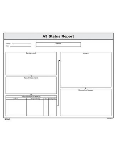 Бумажная книга «A3 Status Report» - фото №1
