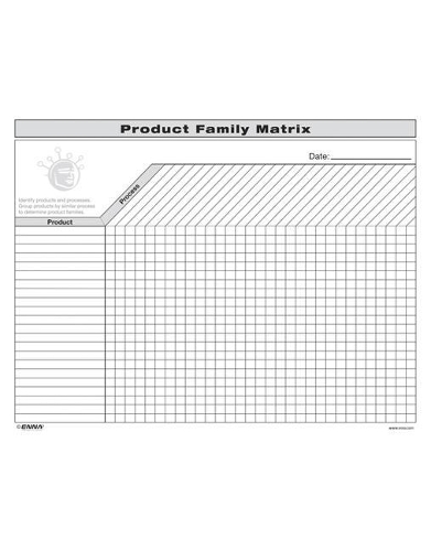 Бумажная книга «VSM: Product Family Matrix: Product Family Matrix» - фото №1