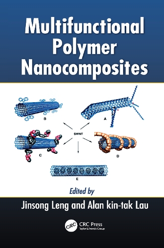 Паперова книга «Multifunctional Polymer Nanocomposites» - фото №1