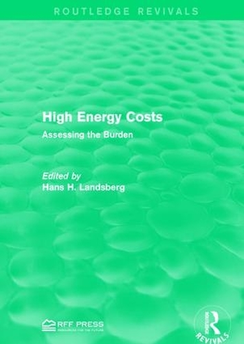 Бумажная книга «High Energy Costs: Assessing the Burden» - фото №1