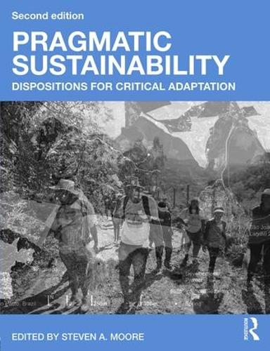 Бумажная книга «Pragmatic Sustainability: Dispositions for Critical Adaptation» - фото №1