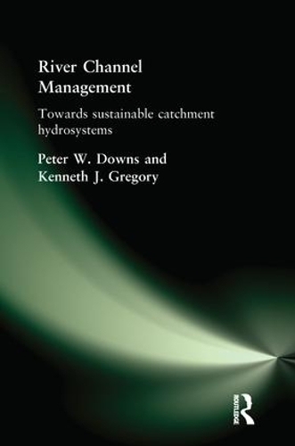 Паперова книга «River Channel Management: Towards sustainable catchment hydrosystems», авторів Кен Грегорі, Пітер Даунс - фото №1