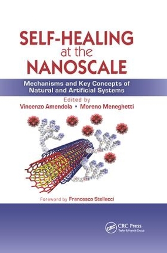 Бумажная книга «Self-Healing at the Nanoscale: Mechanisms and Key Concepts of Natural and Artificial Systems» - фото №1