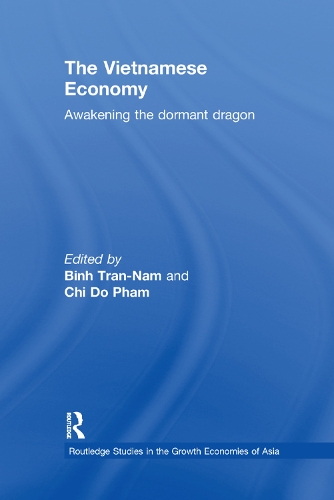Бумажная книга «The Vietnamese Economy: Awakening the Dormant Dragon» - фото №1