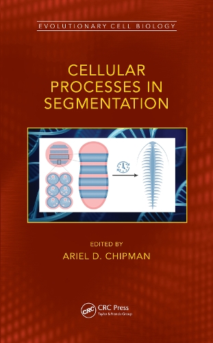 [object Object] «Cellular Processes in Segmentation» - фото №1