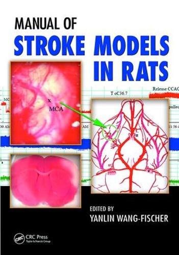 Бумажная книга «Manual of Stroke Models in Rats» - фото №1
