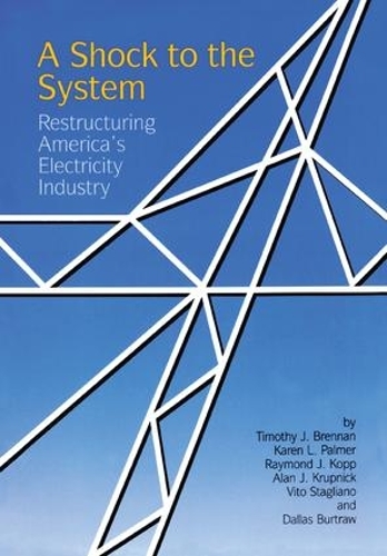 Бумажная книга «A Shock to the System: Restructuring America's Electricity Industry», автор Тимоти Дж. Бреннан - фото №1