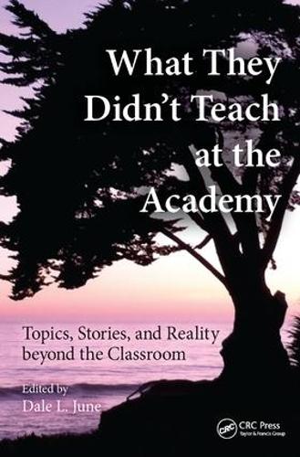 Бумажная книга «What They Didn't Teach at the Academy: Topics, Stories, and Reality beyond the Classroom» - фото №1