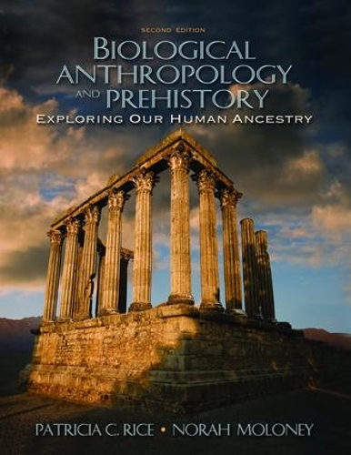 Бумажная книга «Biological Anthropology and Prehistory: Exploring Our Human Ancestry», авторов Нора Молони, Патриция К. Райс - фото №1