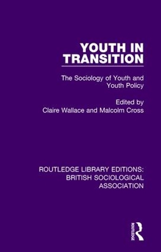 Бумажная книга «Youth in Transition: The Sociology of Youth and Youth Policy» - фото №1