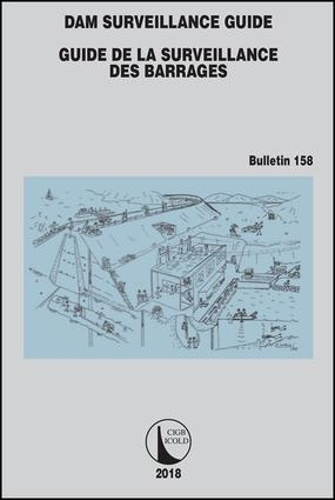 Паперова книга «Dam Surveillance Guide» - фото №1
