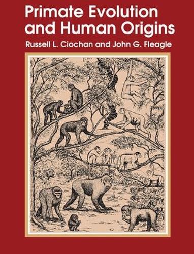 Бумажная книга «Primate Evolution and Human Origins», автор Рассел Л. Чиошон - фото №1