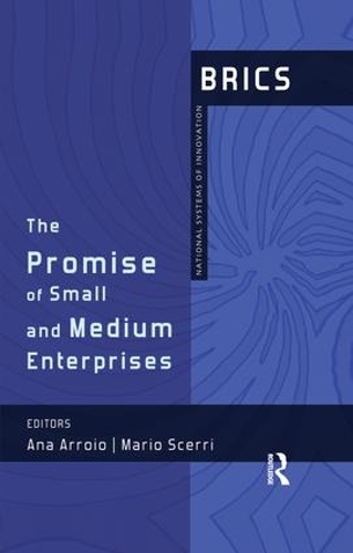 Бумажная книга «The Promise of Small and Medium Enterprises: BRICS National Systems of Innovation» - фото №1