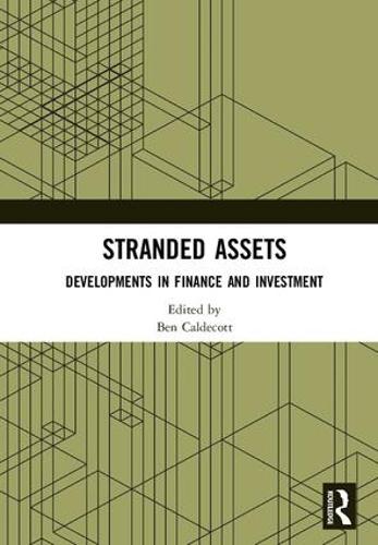 Бумажная книга «Stranded Assets: Developments in Finance and Investment» - фото №1
