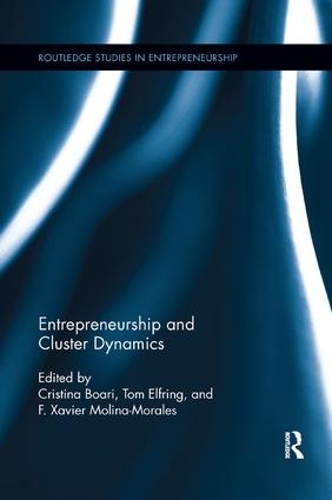 Паперова книга «Entrepreneurship and Cluster Dynamics» - фото №1