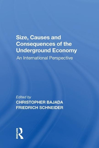Бумажная книга «Size, Causes and Consequences of the Underground Economy: An International Perspective», автор Фридрих Шнайдер - фото №1