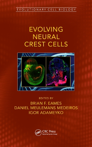 [object Object] «Evolving Neural Crest Cells» - фото №1