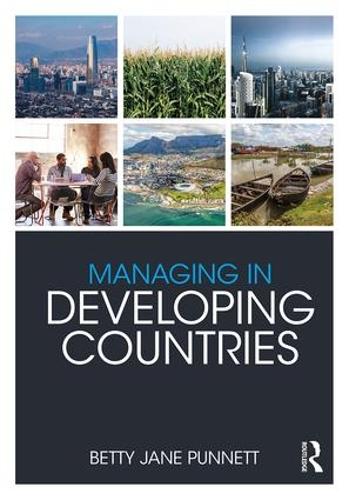 Бумажная книга «Managing in Developing Countries», автор Бетти Джейн Паннетт - фото №1