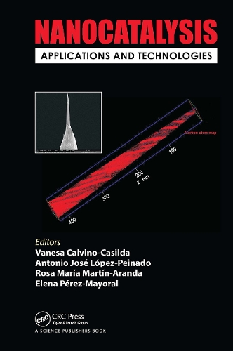 Бумажная книга «Nanocatalysis: Applications and Technologies» - фото №1