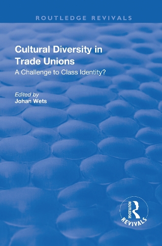 Бумажная книга «Cultural Diversity in Trade Unions: A Challenge to Class Identity?» - фото №1