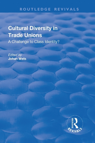 Бумажная книга «Cultural Diversity in Trade Unions: A Challenge to Class Identity?: A Challenge to Class Identity?» - фото №1