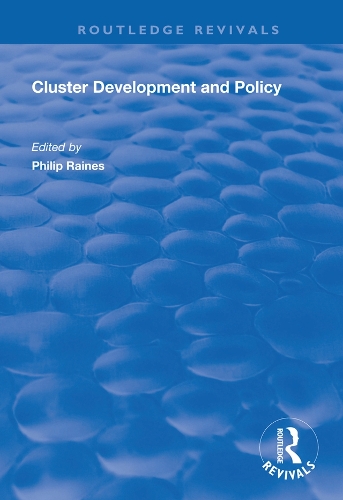 Паперова книга «Cluster Development and Policy» - фото №1