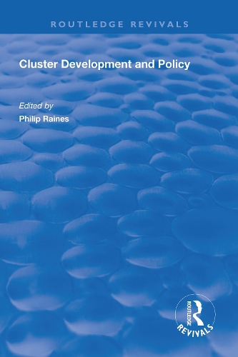 Бумажная книга «Cluster Development and Policy» - фото №1