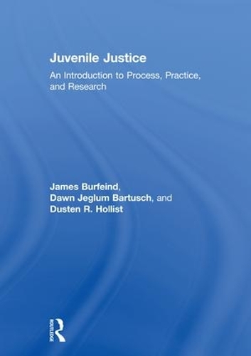 Бумажная книга «Juvenile Justice: An Introduction to Process, Practice, and Research», авторов Доун Джеглум Бартуш, Дастен Р. Холлист, Джеймс Бурфейнд - фото №1