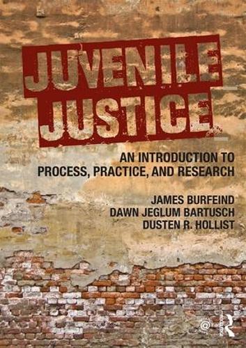 Бумажная книга «Juvenile Justice: An Introduction to Process, Practice, and Research», авторов Доун Джеглум Бартуш, Дастен Р. Холлист, Джеймс Бурфейнд - фото №1